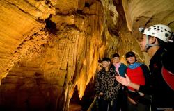 images/Touren/HakaTours/10Tage-Nordinsel/TNZ-TH-Waitomo-Caves-800.jpg