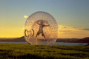 images/Touren/HakaTours/AddOns-Nordinsel/TNZ-Zorb-Rotorua-800.jpg